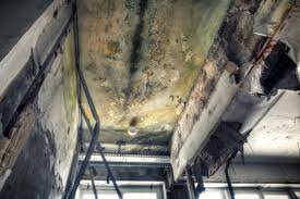 Best Commercial Mold Inspection  in Marinette, WI